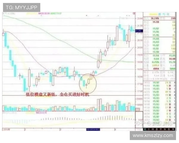 深圳篮球队与重庆篮球队赛后状态分析与复盘总结 深圳篮球队与重庆篮球队赛后状态分析与复盘总结
